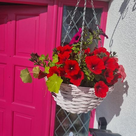 The Pink Door Appartement Killala Buitenkant foto
