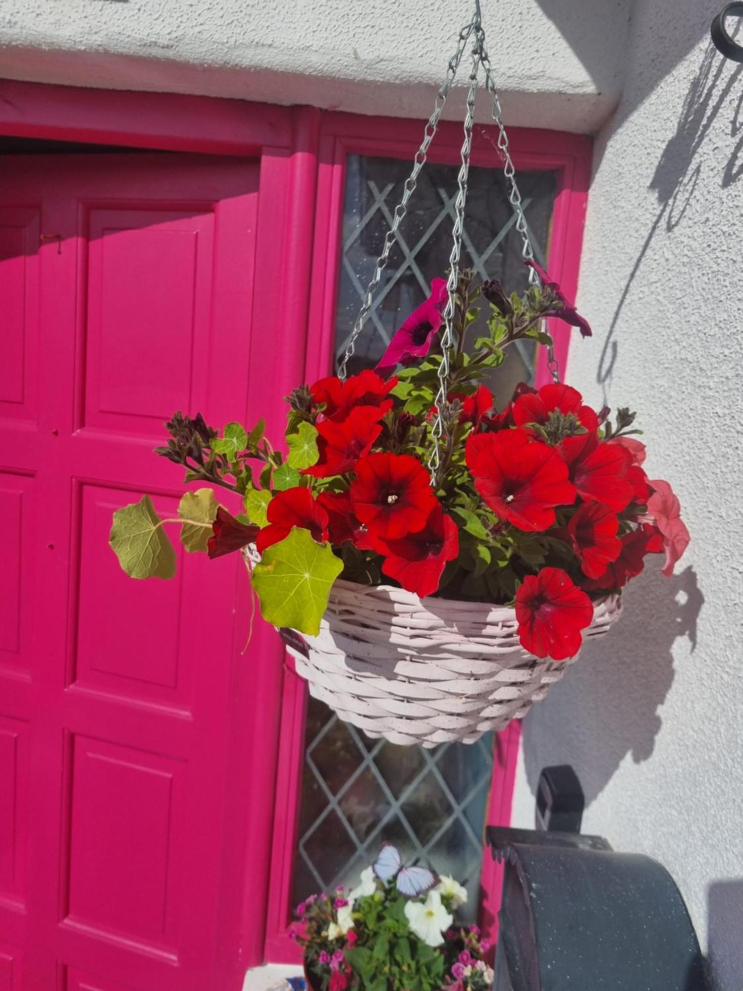 The Pink Door Appartement Killala Buitenkant foto